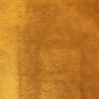 0443 Ochre Plush Velvet Plain