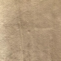 1448 Cream Plush Velvet Plain